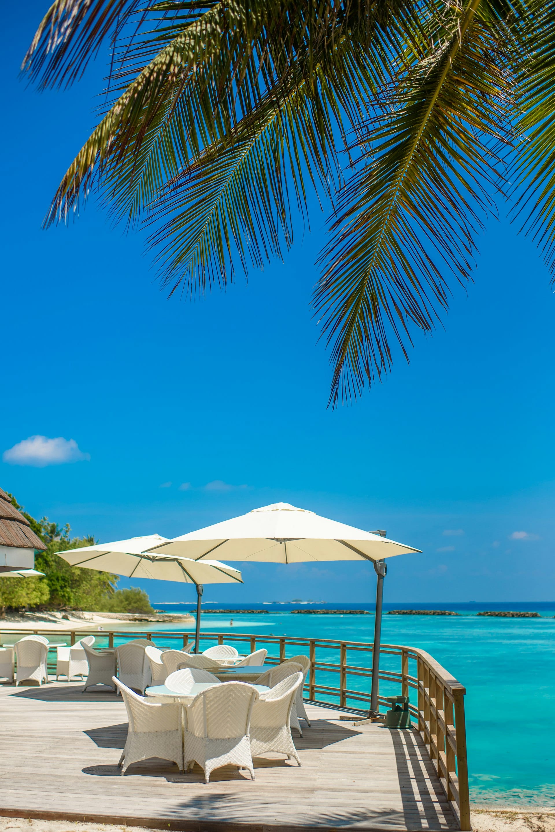 Andaman & Nicobar