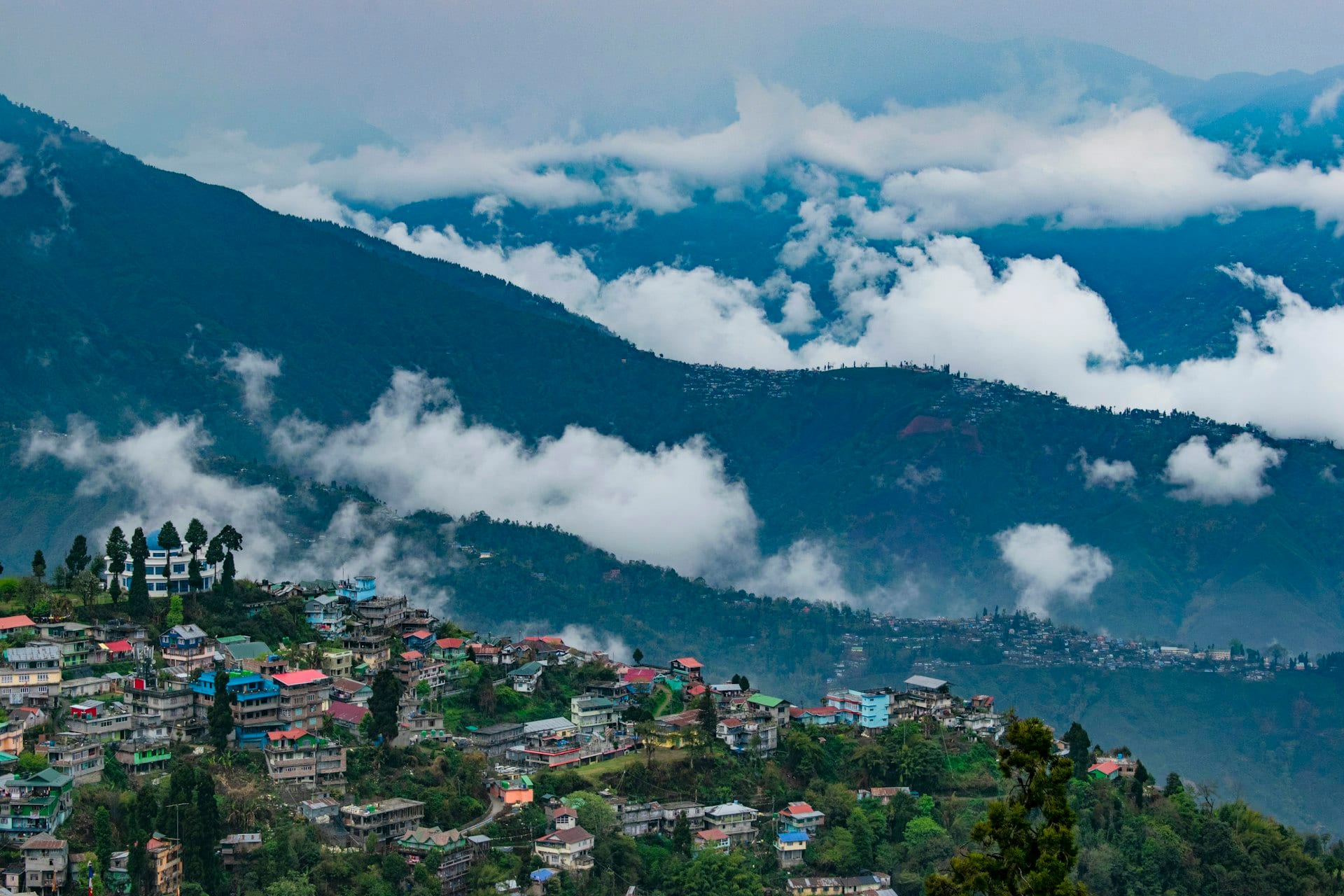 Eastern Himalayan 3 Jewels