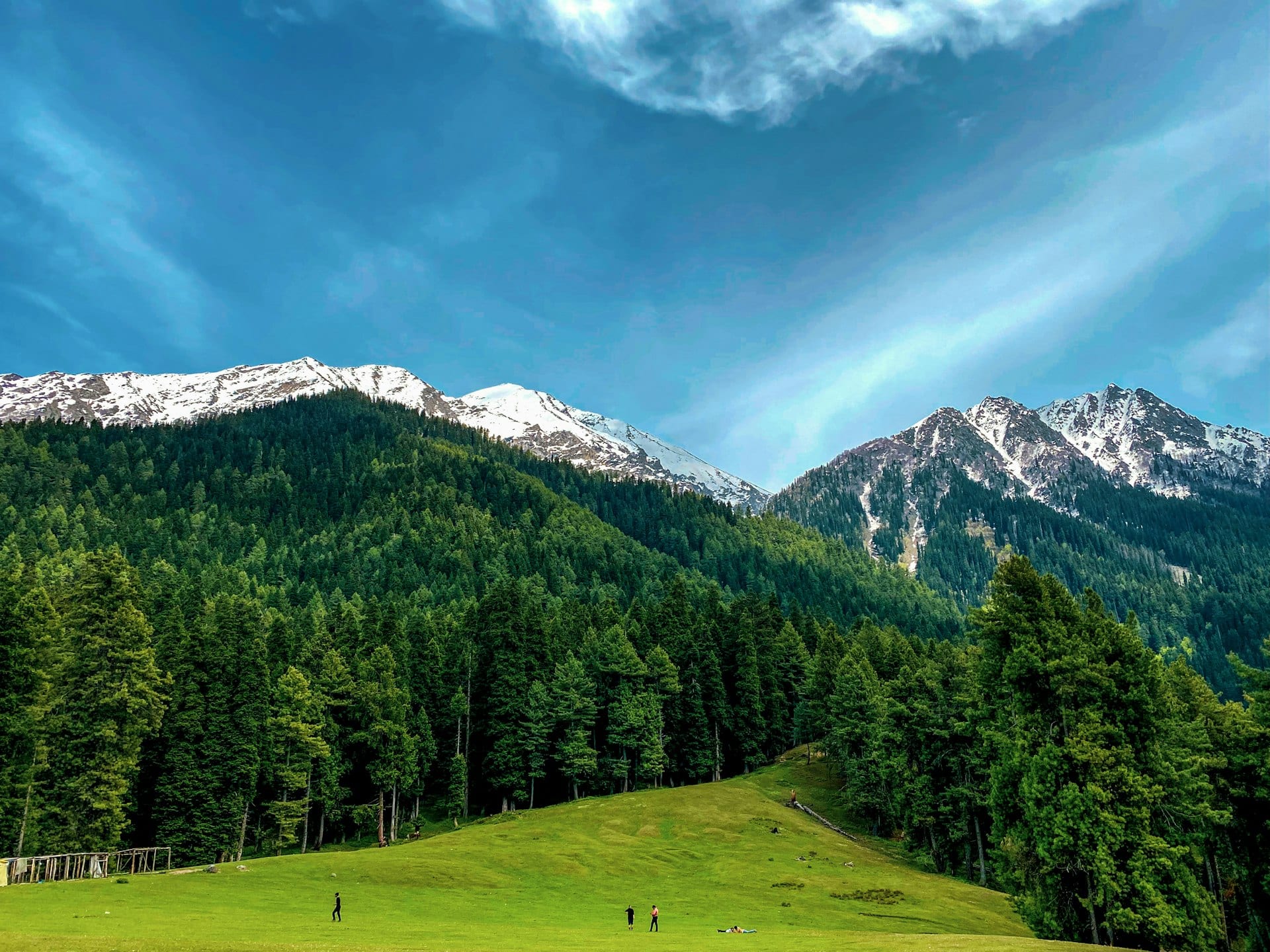 A vivid green valley meadow below snow-capped mountains in Kashmir