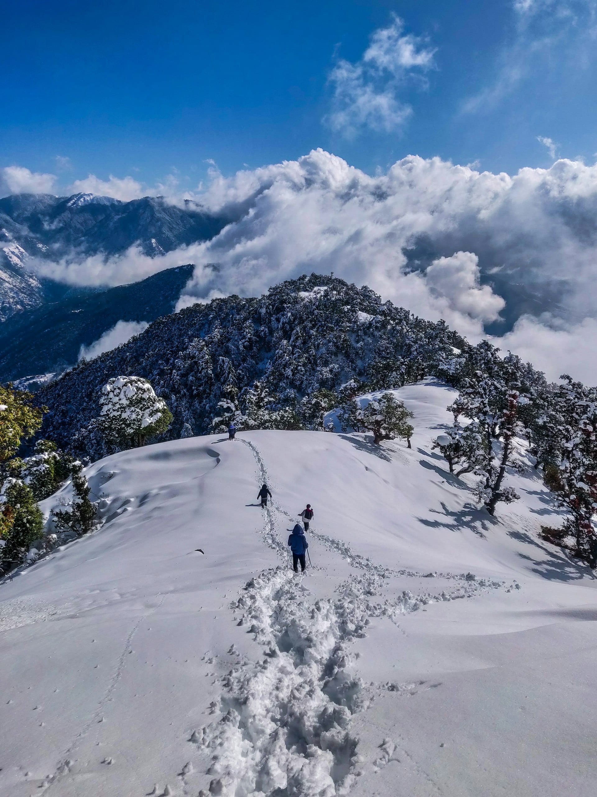 Manali Snow Escape